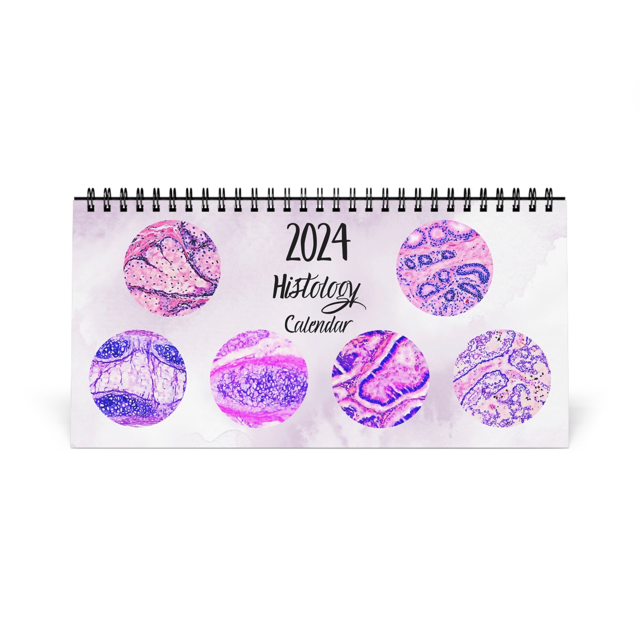 Histology Art Desk Calendar 2024 Histology Watercolor Anatomy Art