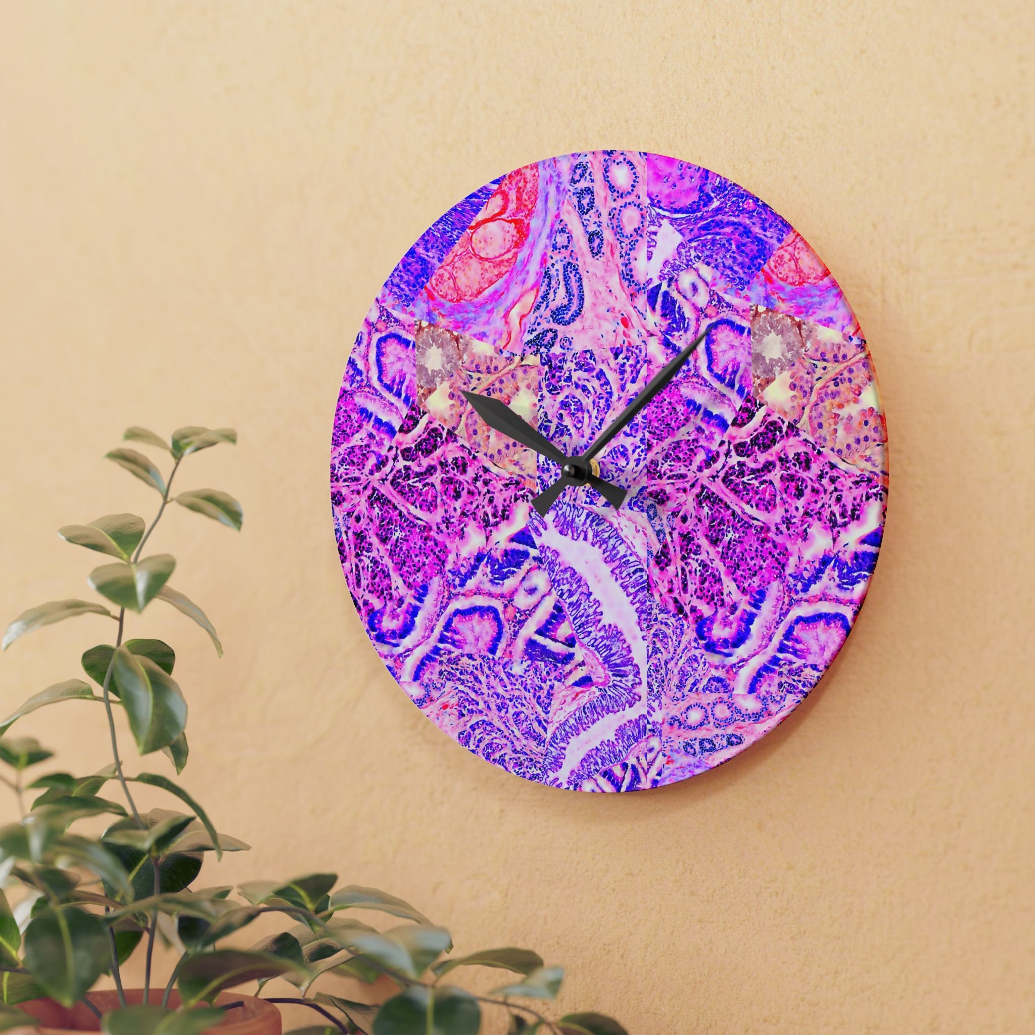 Histology Clock, Veterinary Histology Pathology Cytology Laboratory Office Decor, Histology Watercolor Histotech Gift
