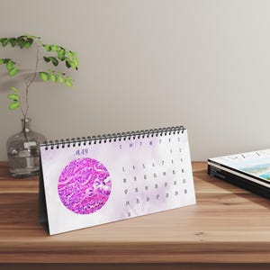 Histology Art Desk Calendar 2026: Watercolor Anatomy Gift