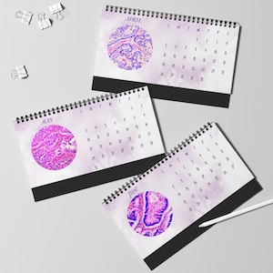 May include: Three desk calendars with spiral binding, displaying April, May, and June. Each calendar has a watercolour background and a circular image of a microscopic tissue sample. The calendars have black bases.