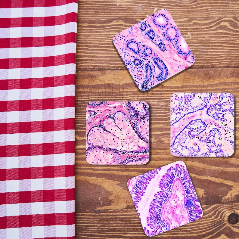 Pu&ograve; includere: Quattro sottobicchieri quadrati con immagini microscopiche di tessuto umano. I sottobicchieri sono rosa, viola e blu su sfondo bianco.