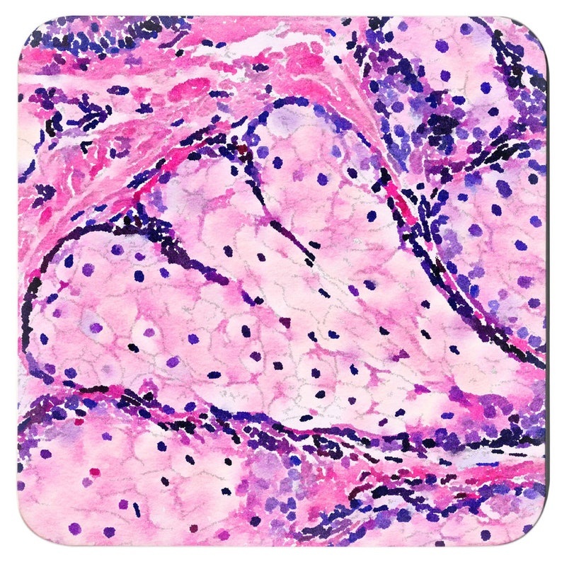 Histology Watercolor Art Coaster Set: Medical Science Gift immagine 7