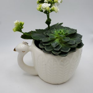 Puede incluir: Una taza de cerámica blanca con un asa en forma de cisne, llena de una suculenta verde y cubierta con flores blancas. La taza tiene un patrón texturizado y detalles dorados.