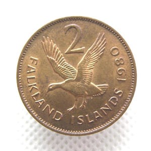 MONETA DA DUE PENCE DELLE ISOLE FALKLAND DEL 1980 - Moneta da 2 pence in bronzo autentico - Regina Elisabetta d'Inghilterra - Oca delle Highlands - Moneta da collezione in regalo (OS01)
