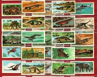 Vintage Brooke Bond-dinosauruskaarten jaren 70: set prehistorische dieren