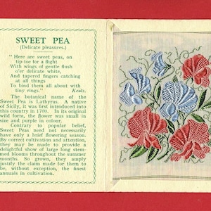 Tarjeta de flores de seda de guisante de olor - Flores Kensitas originales de 1934 en su carpeta original - Emisión de tarjeta de tabaco de 5 cm x 7 cm - Wix & Sons (VY05)