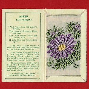 ASTER SILK FLOWER-kaart - Originele Kensitas-bloemen uit 1934 in originele map - uitgave British Sigarette Tobacco Card - J.Wix & Sons (XC01)