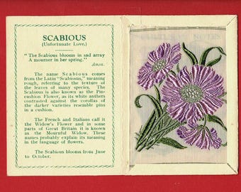 スカビオスシルクフラワーカード - 1934年製ケンシタスフラワー、オリジナルフォルダー入り - 5cm x 7cm シガレットタバコカード - Wix & Sons (VY05)
