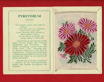 除虫菊シルクフラワーカード - 1934年ケンシタス社製純正花カード（オリジナルフォルダー入り） - 5 cm x 7 cm 紙巻タバコカード発行 - Wix & Sons (VY05)
