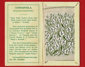 ジプソフィラ シルク フラワー カード - オリジナル フォルダー入り本物 1934 ケンシタス フラワー - 英国タバコ タバコ カード発行 - Wix & Sons (XC01)