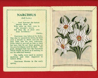 ナルキッソス シルクフラワー カード - 1934年ケンシタス社製 オリジナルフォルダー入り 純正花柄 - 5 cm x 7 cm 紙巻タバコカード発行 - Wix & Sons (VY05)
