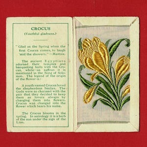 CROCUS SILK FLOWER-kaart - Originele Kensitas-bloemen 1934 in originele map - British Sigarette Tobacco Card-uitgifte - J.Wix & Sons (XC01)