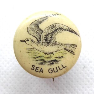 May include: A round, off-white pinback button featuring a black ink illustration of a seagull in flight above a patch of grass. The text SEA GULL is printed in black capital letters along the bottom edge of the circular button surface.