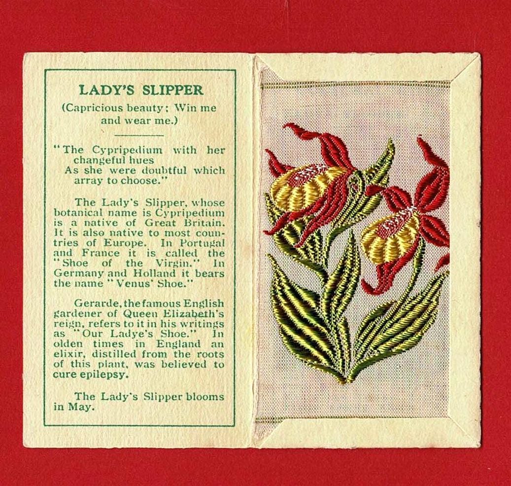 LADY'S SLIPPER SILK Flower Card - Genuine 1934 Kensitas Flowers in
