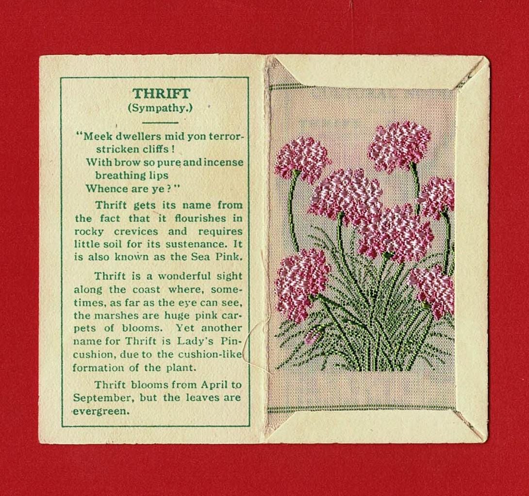 THRIFT SILK FLOWER Card - Genuine 1934 Kensitas Flowers in Original Folder  - British Cigarette Tobacco Card Issue - Wix & Sons (XC01)