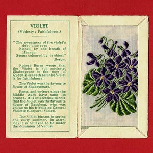 Tarjeta de flores de seda violeta - Flores Kensitas originales de 1934 en su carpeta original - Emisión de tarjetas de tabaco británico - Wix & Sons (XC01)
