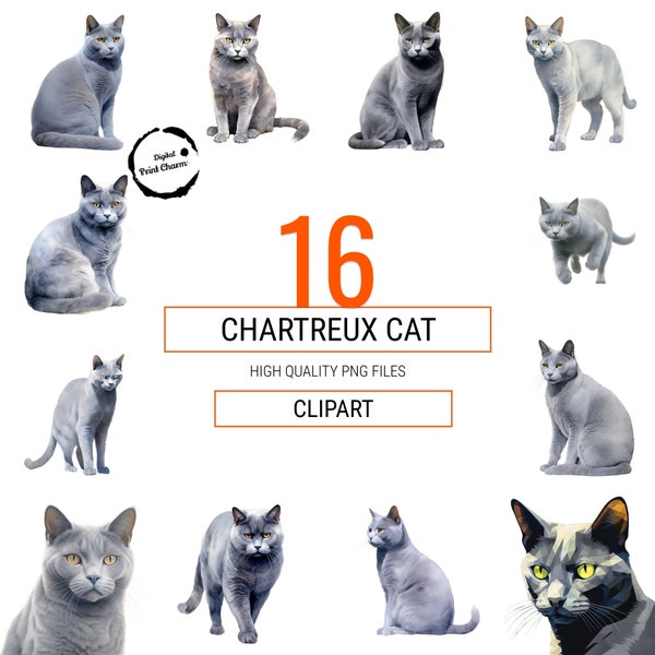 Chartreux Cat Watercolor | 16 Digital Prints Bundle | Realistic Cat Art | DIY Projects | Cat Lovers' Dream | Perfect for Scrapbooking