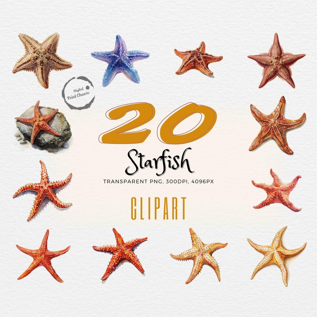 Realistic Starfish Clipart Bundle | 20 Detailed Sea Star