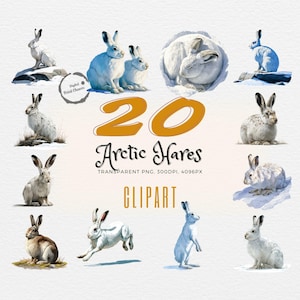 Puede incluir: Una colección de 20 imágenes prediseñadas de acuarela de liebres árticas en varias poses. Las liebres están representadas en tonos blancos, marrones y grises, con orejas largas y pelaje esponjoso. También se incluye el texto "20 Arctic Hares Clipart".