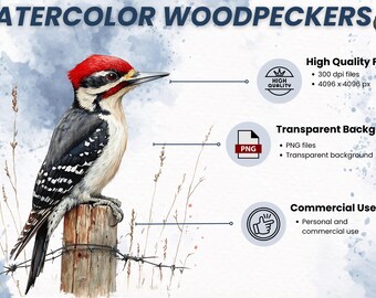 キツツキのクリップアート20枚 | リアルな水彩画 | スクラップ