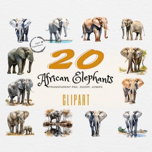 20 Realistic Elephant Prints | Watercolor Digital Clipart | Essential for Scrapbooking, Crafting, Journaling | Ideal for Apparel & Mugs