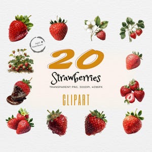 Süße Erdbeeren! | 20 Aquarell Obst Clipart | Perfektes Geschenk Feinschmecker | Sommer Beere Kunst | Transparenten BG | Saftiges Design | Kommerzielle Nutzung