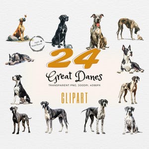 Great Dane Dream | 24 Watercolor Illustrations | Perfect for Dog Lovers, Crafters & Designers | Unleash Creativity Today! | Transparent PNG