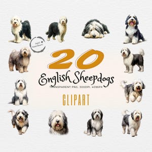 20 Old English Sheepdog Cliparts | Watercolor Realism | Perfect for Pet Lovers & Craft Projects | Unique and Charming! | Transparent PNGs