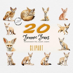 Charmant ensemble de cliparts aquarelle renard fennec | 20 illustrations réalistes d'animaux du désert | Idéal pour l'art et l'artisanat inspirés de la nature | Transparente