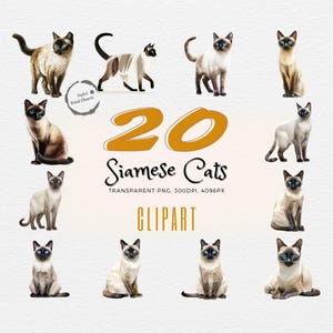 Elegant Siamese Cat Watercolor Clipart Set | 20 Realistic Feline Illustrations | Ideal for Cat-Themed Art & Design Projects |Transparent PNG