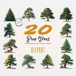 Lot de cliparts pin rustique | 20 illustrations réalistes de forêt | délices des amoureux de la nature | Téléchargement instantané | Fichiers PNG transparents