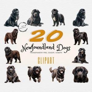 Gigantes Gentis Ilustrados: 20 Cliparts de Cães Terra-Nova em Aquarela | Perfeito para Projetos de Arte e Entusiastas por Cães | PNG Transparente