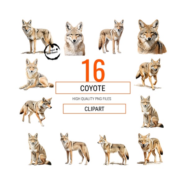 Coyote Chronicles | Desert Dwellers Artistry | Perfect for Nature Lovers | Wildlife Enthusiasts' Dream! | 16 Transparent PNG Files