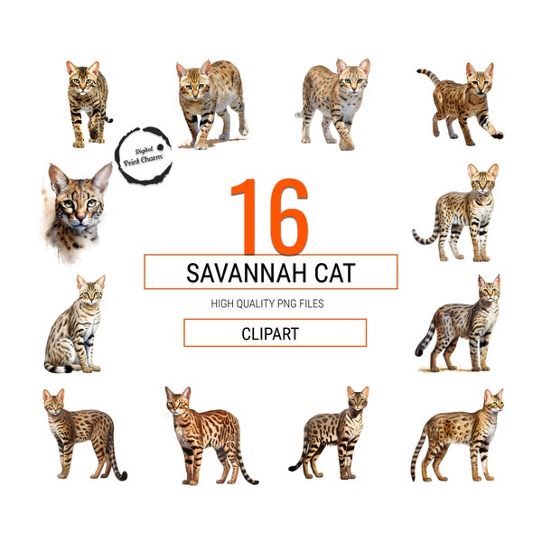 Exotic Savannah Cat Clipart Collection | 16 Realistic Watercolor Illustrations | Ideal Art Projects & Feline Enthusiasts | Transparent PNG