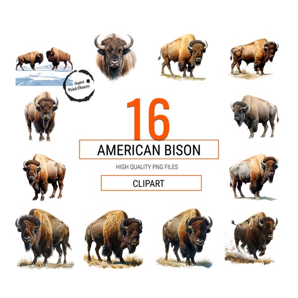 Majestic American Bison | Watercolor Bundle of 16 | Realistic Digital Clipart Prints | Wildlife Art for Decor & Design | Transparent PNG