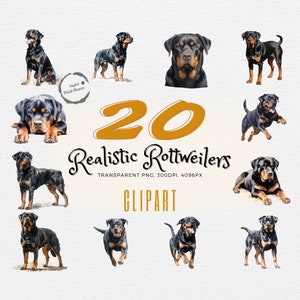Watercolor Rottweiler Digital Prints | 20 Unique Clipart Images for Crafts | Realistic Dog Art, Scrapbooking and Journals | Commercial Use