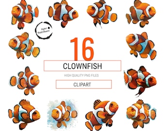 Vibrant Clownfish Clipart Bundle | 16 Realistic Sea Life Illustrations | Ideal for Educational Content, Party Decor & More | Commercial Use