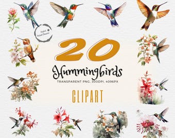 Clipart kolibrie en bloem | 20 digitale afdrukken jpg&#39;s en png&#39;s van hoge kwaliteit | Kleurrijke vogelkunst | Bloemenhuisdecoratie