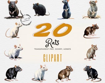 Meesterwerken aquarel rat | 20 unieke realistische cliparts voor ratten | Ideaal voor doe-het-zelf, onderwijs en kunst aan de muur | Directe digitale download