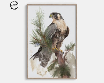 Watercolor Peregrine Falcon on Pine Tree | Digital Print Download | Bird Art | Wildlife Painting | Nature Wall Decor | Printable Poster