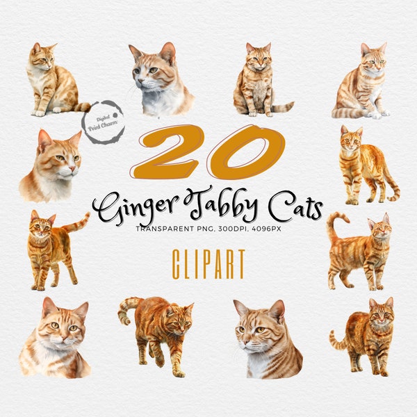 Realistic Ginger Tabby Cats | 20 Watercolor Cliparts | Crafting & Scrapbooking supplies | Feline Art Bundle | Kitty Illustrations Download