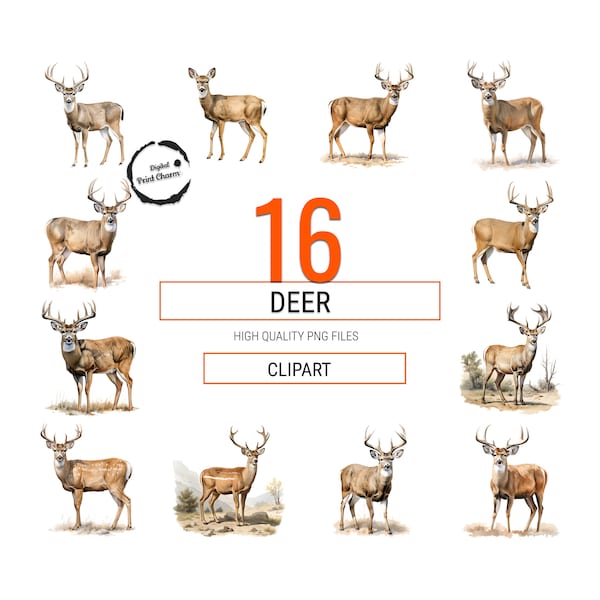 16 Realistic Deer Watercolor Clipart Digital Downloads | Bundle of Deer Clipart for Planners, Stickers, Cards, Invitations, and More