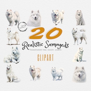 Samoyed Watercolor Clipart | 20 Realistic Dog Paintings Bundle | Home Decor & DIY Projects | Fluffy Canine Art | Digital Downloads | PNG