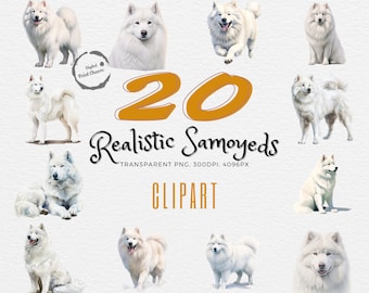 Samojeed aquarel clipart | Bundel 20 realistische hondenschilderijen | Woondecoraties en doe-het-zelfprojecten | Pluizige hondenkunst | Digitale downloads | png