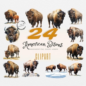 Majestic American Bison | Watercolor Bundle of 24 | Realistic Digital Clipart Prints | Wildlife Art for Decor & Design | Transparent PNG