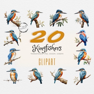May include: Twenty watercolor illustrations of kingfishers perched on branches. The birds are blue, green, and orange with long beaks. The illustrations are on a white background.  The text "20 Kingfishers" is in a yellow font.