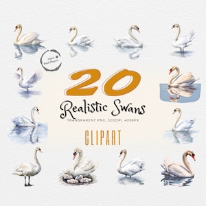 Swan Clipart Collection | 20 Graceful Watercolor Swan Digital Prints | High-Quality Realistic Art for Crafts, DIY Projects & Invitations
