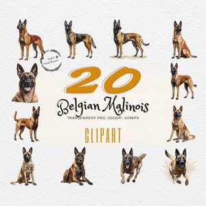 Uwolnij kreatywność | 20 akwarelowych belgijskich malinois clipart | Marzenie miłośników psów | Niezbędne elementy planera i dziennika | Unikalna sztuka scrapbookingu
