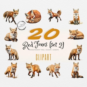 May include: A set of 20 digital clipart images of red foxes in various poses. The images are transparent PNG files with a resolution of 300 DPI and 4096 pixels. The images are perfect for use in digital scrapbooking, card making, and other craft projects.