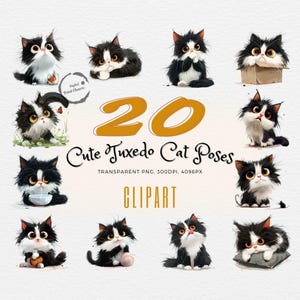 Playful Tuxedo Cat Clipart Bundle | 20 Cartoon Cat Poses for Kids | For Storybooks, Educational Materials & Fun Decor | Commercial Use | PNG